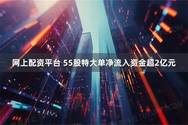 网上配资平台 55股特大单净流入资金超2亿元