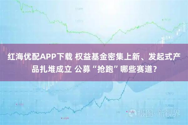 红海优配APP下载 权益基金密集上新、发起式产品扎堆成立 公募“抢跑”哪些赛道？