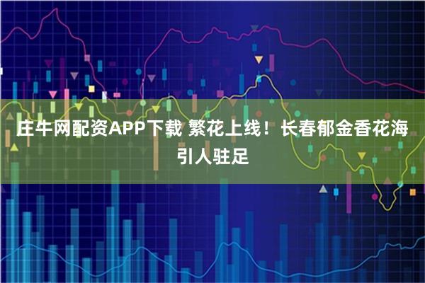 庄牛网配资APP下载 繁花上线！长春郁金香花海引人驻足